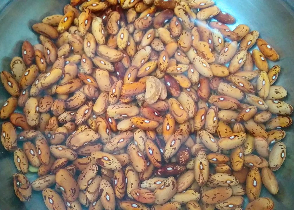 Rajma, Kidney beans